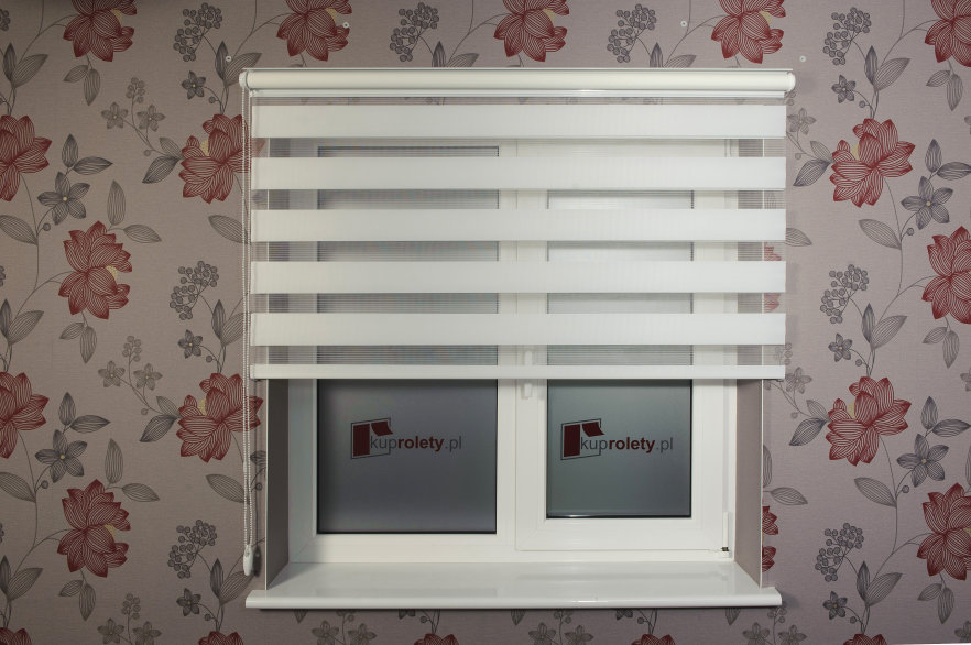 Day and night blinds ceiling-/ wall-mounted with shield - MGS