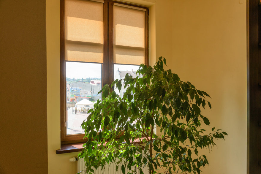 Blinds without cassette mini