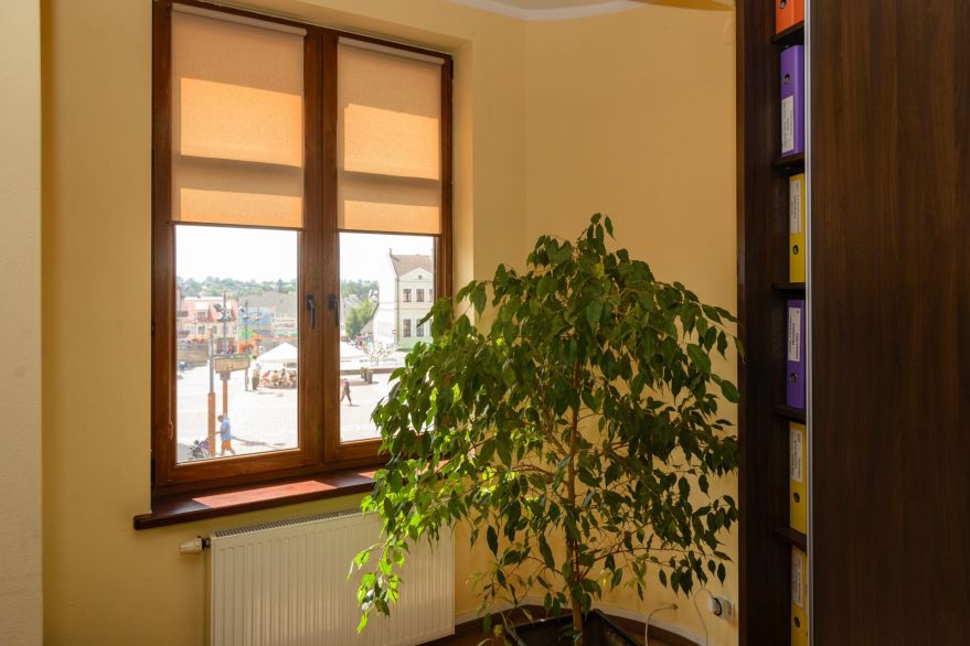 Blinds without cassette mini