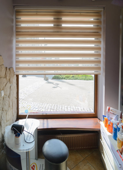 Day and night blinds ceiling-/ wall-mounted with shield - MGS