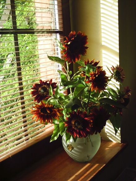 Venetian blinds aluminium blinds 25mm