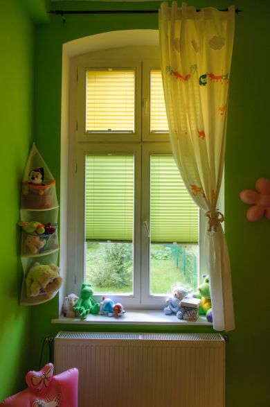 Pleated Blinds Window pleated blinds