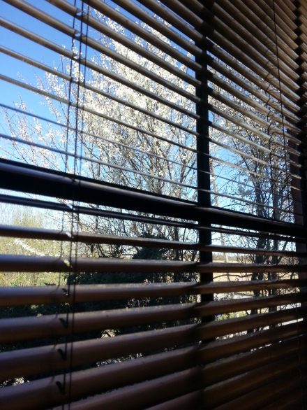 Venetian blinds aluminium blinds 25mm